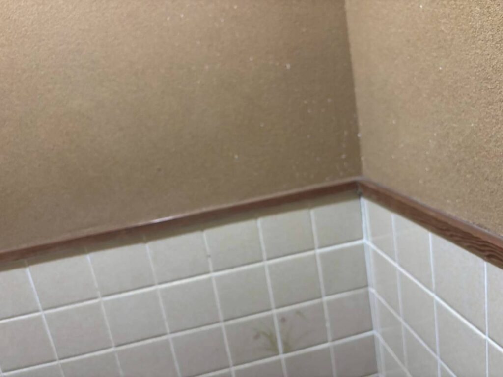 P様邸　トイレ着工前 (3)